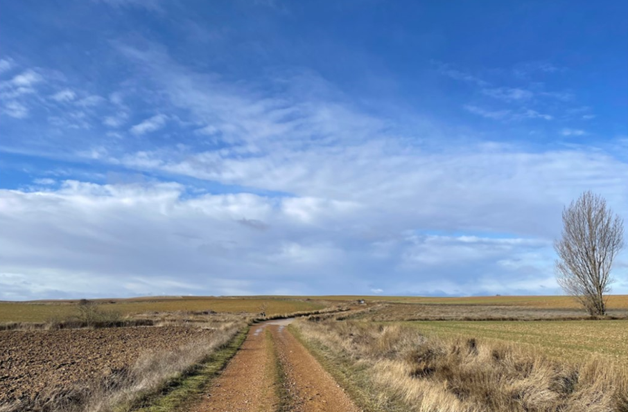 ¿Por qué aumentan tanto los peregrinos de Estados Unidos?: Anne Born reflexiona sobre el éxito del Camino entre sus compatriotas